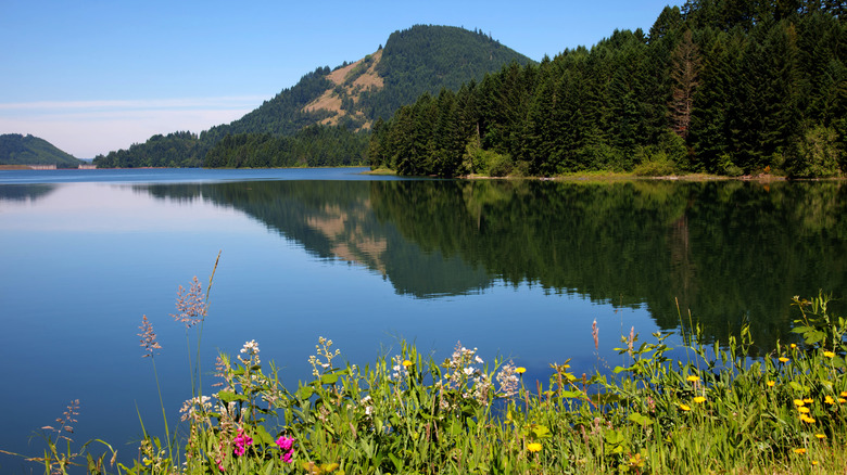 Dorena Lake near Creswell, Oregon
