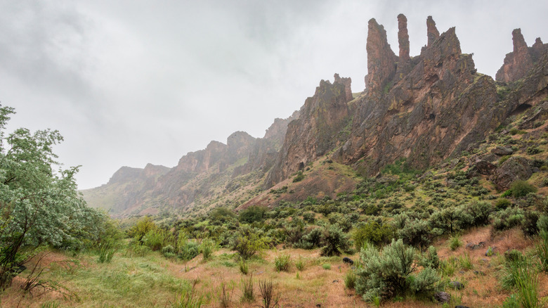 Unique rock formations in Owyhee Canyonlands