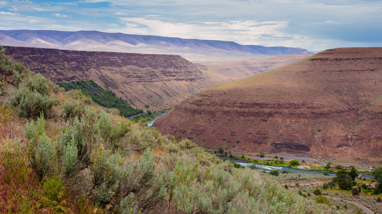 The Deschutes River flows through the town of Maupin in Northern Central Oregon. This are of the river is considered wild and scenic with special regulations for fly fishing and boating or rafting.