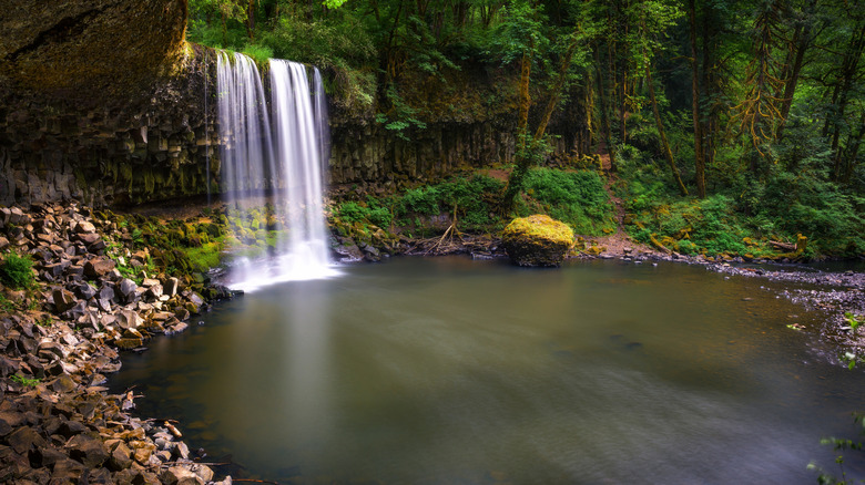 Beaver Falls waterfall leading into small pond near Clatskanie Oregon