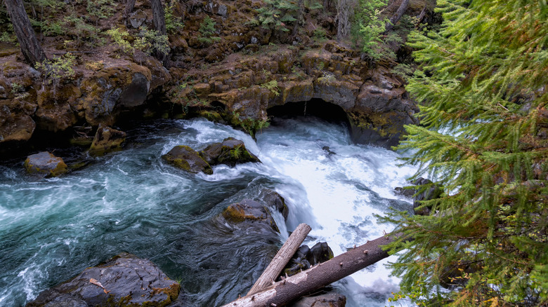 The Rogue River flowing through a gorge under Natural Bridge
