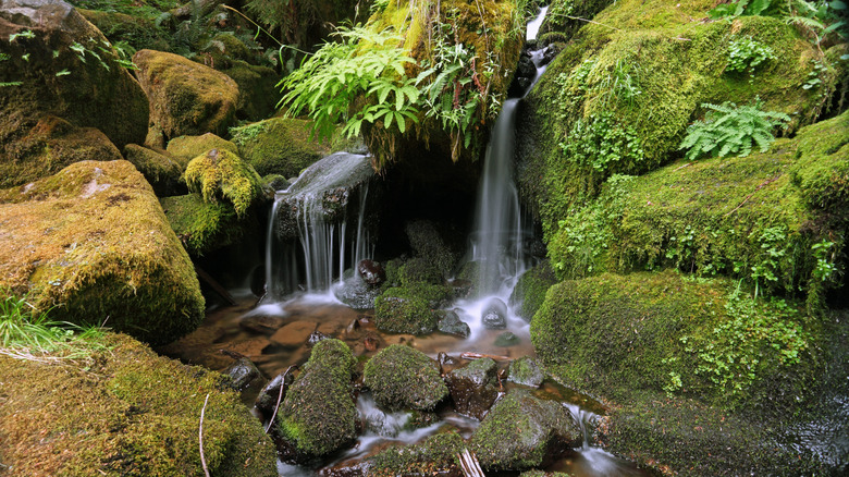 Watson Falls along the Rogue-Umpqua Scenic Byway, Oregon.