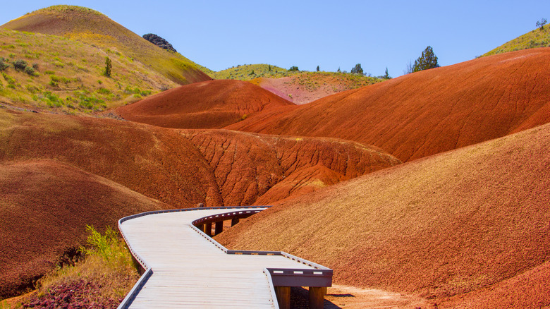 A walking path through the John Day Fossil Beds