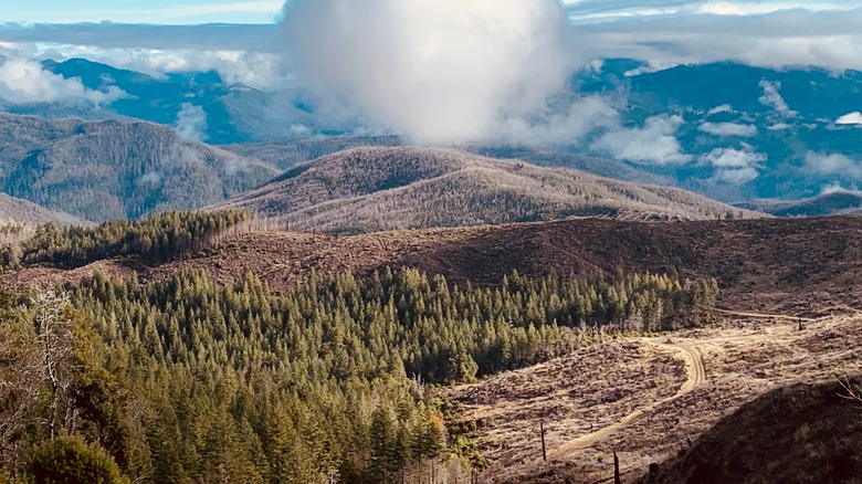 Mountains and forest with clouds in Kalmiopsis Wilderness