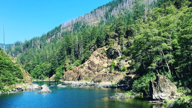 River lined by green and burned trees in the Kalmiopsis Wilderness.