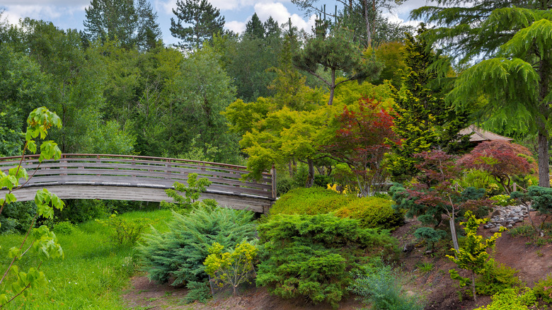 A bridge in Tsuru Island Japanese Garden in Gresham, Oregon