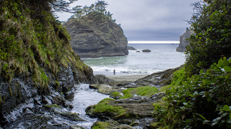 A lone figure stands on the shore of Secret Beach in the Samuel H. Boardman State Scenic Corridor, Oregon