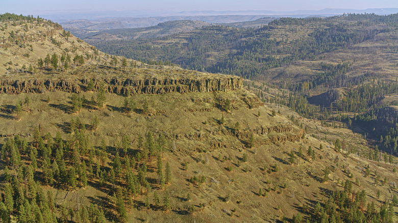 Rocky ledges and trees in Umatilla National Forest in Oregon