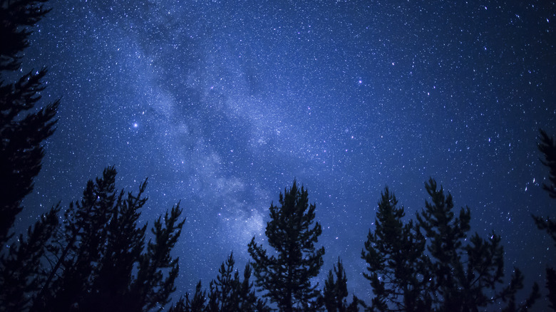 The Milky Way in Umatilla National Forest