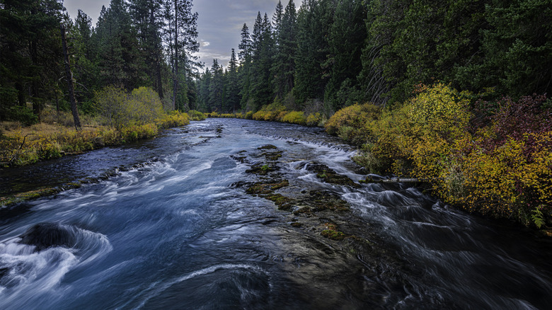 The Deschutes River in Bend, Oregon