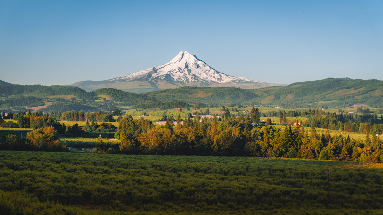 Mount Hood overlooking the Hood River Valley in Oregon