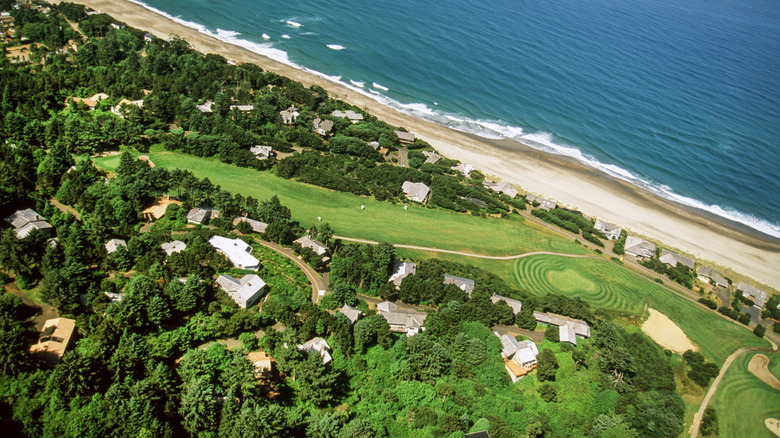 The coastline near Salishan