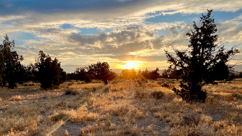 Sunrise at Oregon Badlands Wilderness