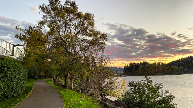 Trails wind along Willamette River in Milwaukie