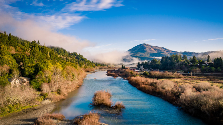 River with green forest on one side and mountain in back