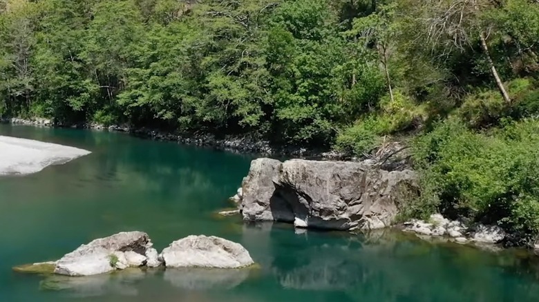 Elephant shaped rock turquoise river green trees