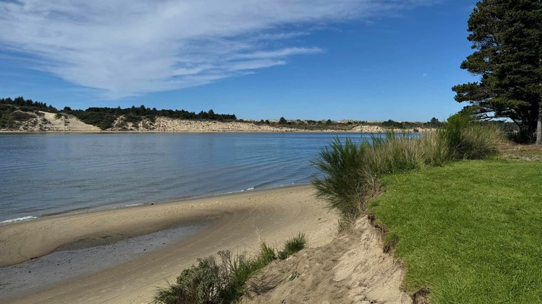A view of sand dunes and riverside beach at Exploding Whale Memorial Park in Florence, Oregon