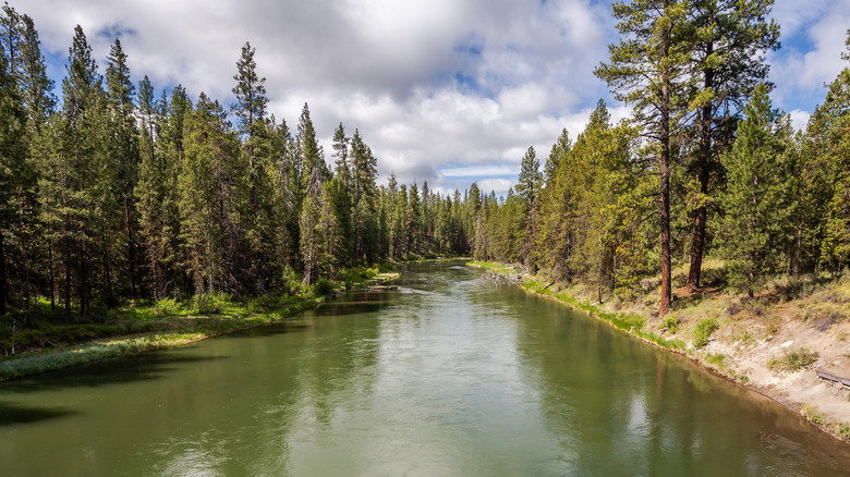 The Deschutes River in LaPine State Park
