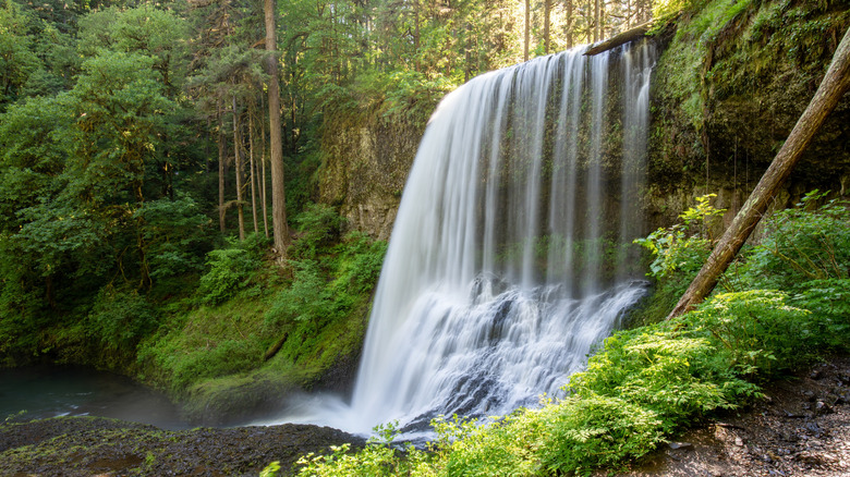 Middle North Falls at Silver Falls State Park, Oregon