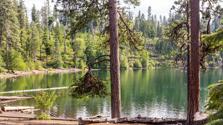 Beautiful Scout Lake in the Deschutes National Forest in Oregon