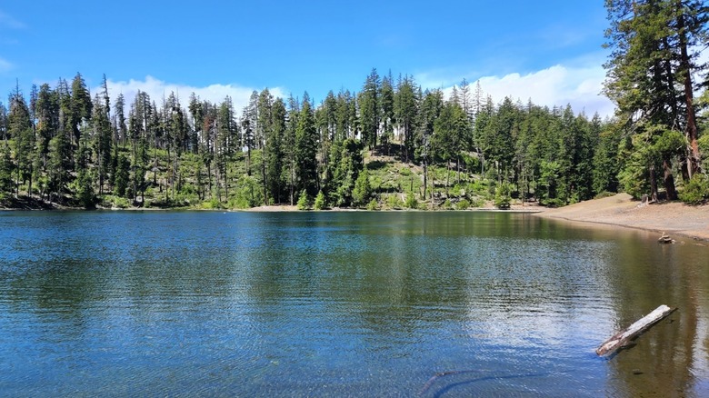 Scout Lake in Deschutes National Forest, Oregon