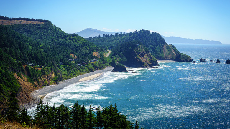 Short Beach stretches under a tree-covered part of the Oregon coast