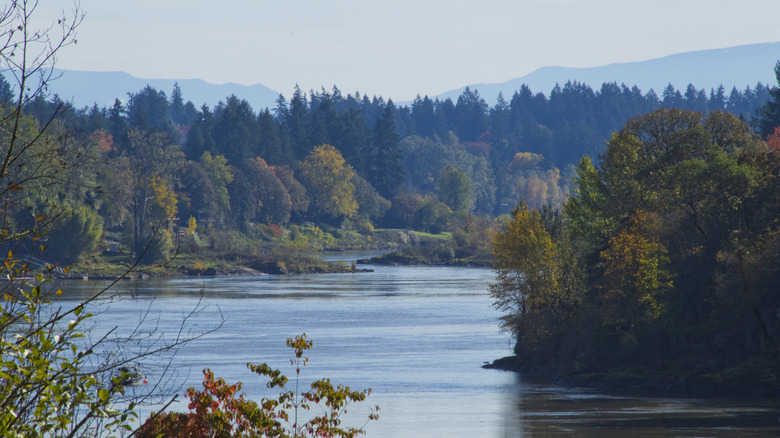 The Willamette River flows through Canby, Oregon