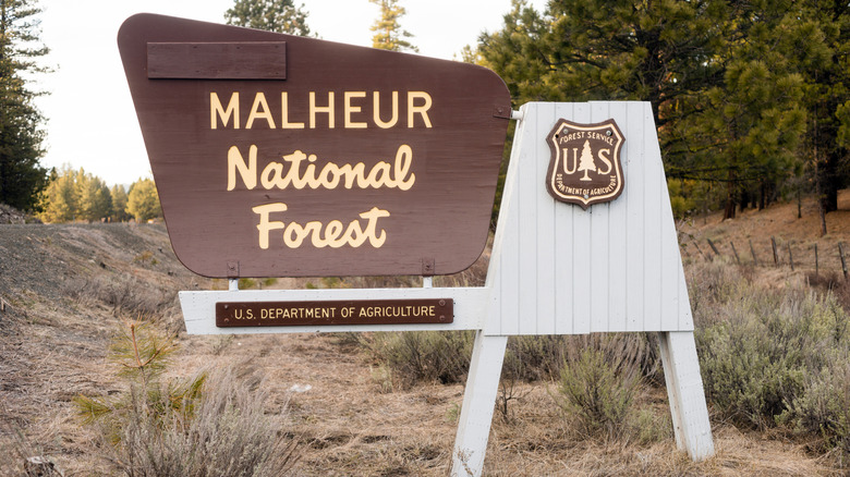 The entrance sign to Malheur National Forest at sunset