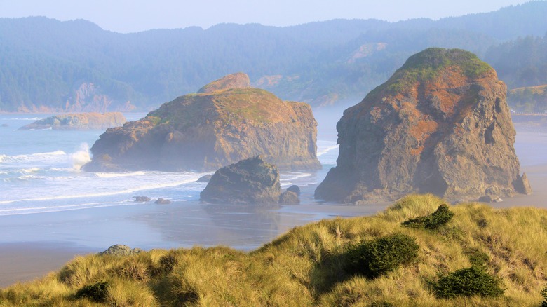 Rock stacks rise from a misty ocean on Cape Sebastian, OR
