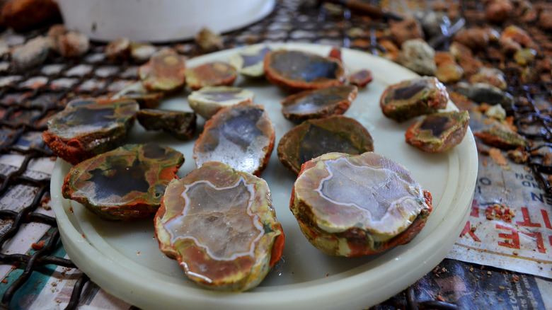 A tray of open thundereggs