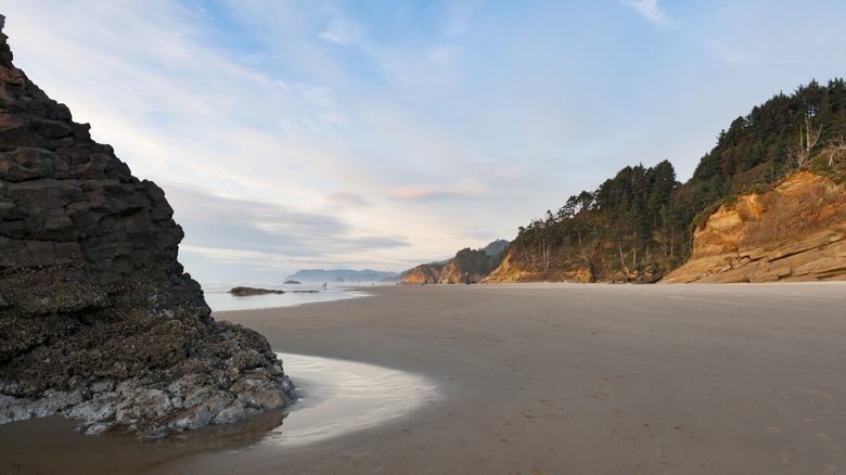 shoreline of Arch Cape, Oregon near Cannon Beach