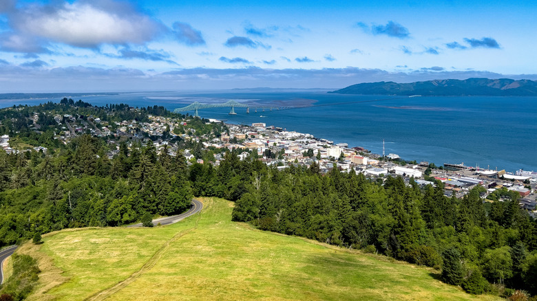 view of the water and trees from Astoria Column