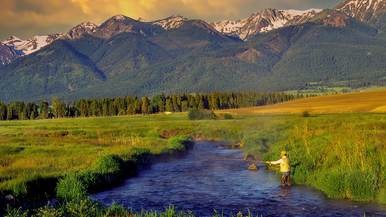 A man fly fishing in the Wallowa River in Eastern Oregon, mountains rising in the background.