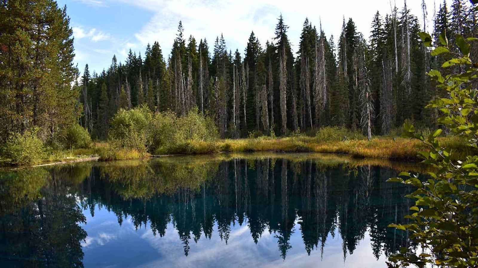 Oregon Underrated Alternative To Crater Lake Is A Tiny Mountain Gem With Crystal - Clear Water