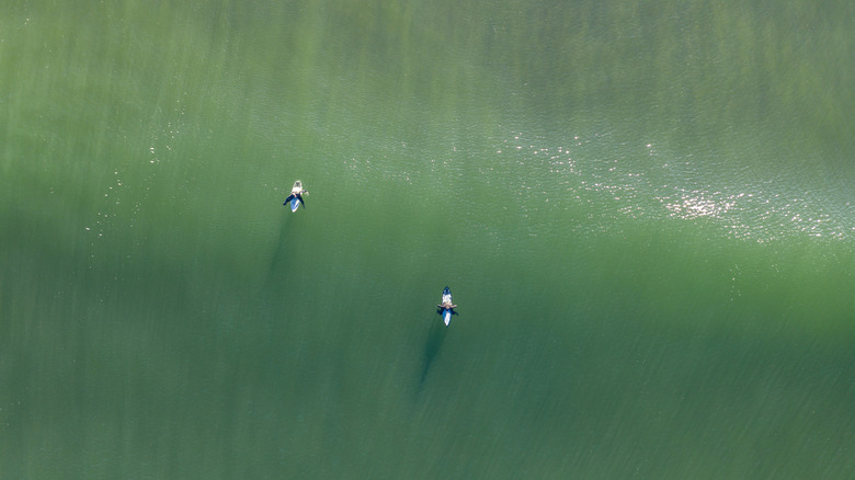 Aerial view of two surfers waiting for a swell near Pacific City, Oregon