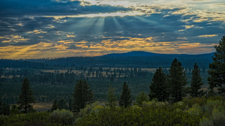 Sunset view of Ochoco National Forest near Culver, Oregon
