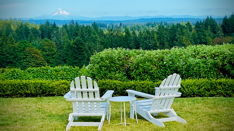 Oregon wine country with Mount Hood view