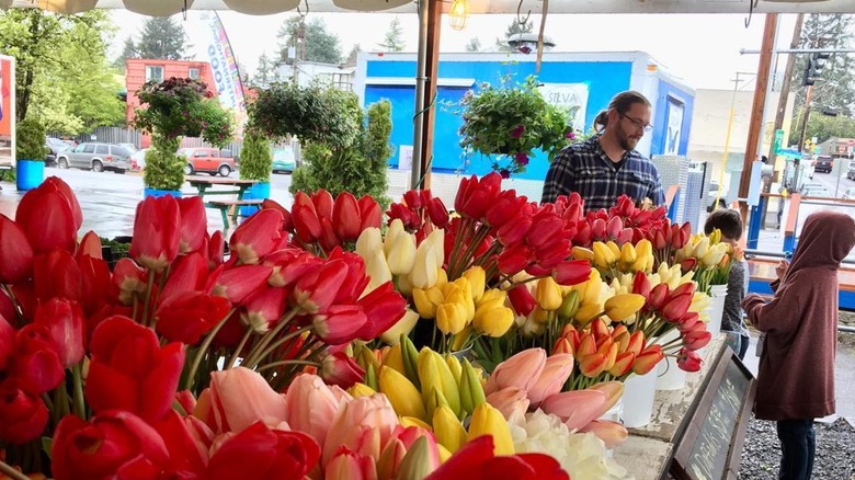 Tulips for sale in Multnomah Village, Portland