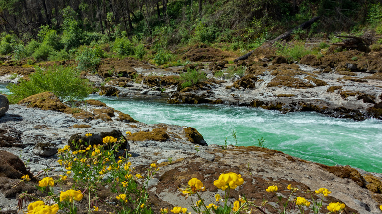 North Umpqua River