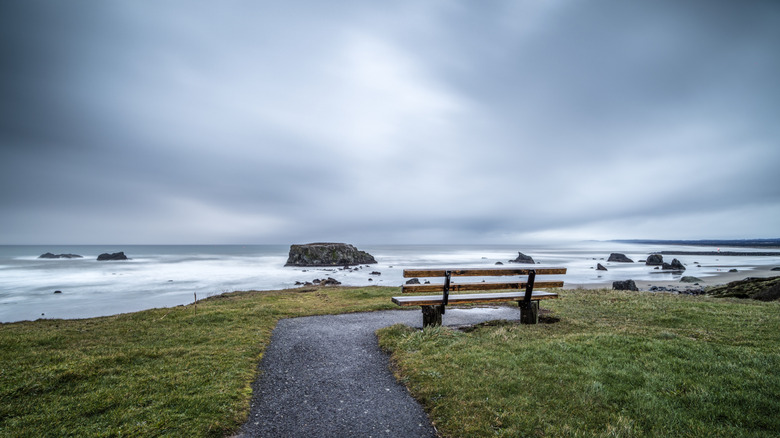A footpath weaves towards the wild ocean at the Cape Arago State Park