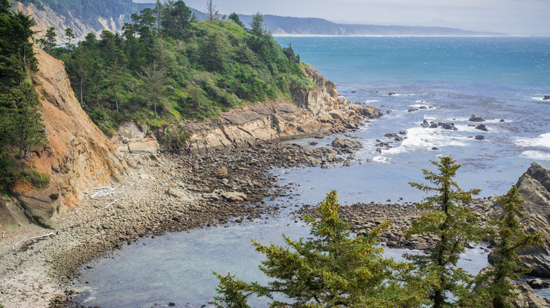 A jagged cliff covered in forest rises from the Pacific Ocean at the Cape Arago State Park