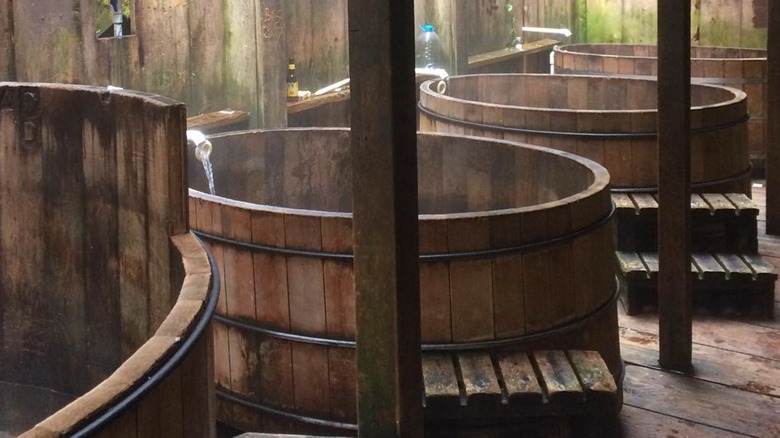 Soaking tubs at Oregon's Bagby Hot Springs