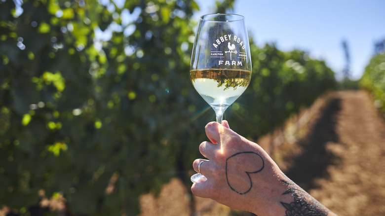 Person holding a wine glass in a vineyard