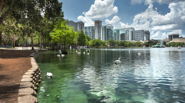 The Orlando skyline and Swans at Lake Eola Park in Orlando, Florida