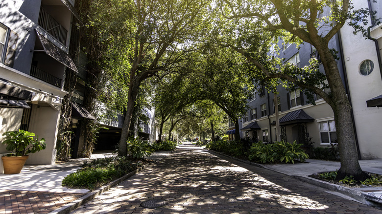 A candle stand at the Thornton Night Market