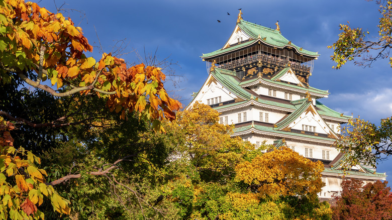 Osaka Castle and gardens in autumn