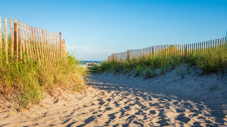 Beach entrance in between sand dunes