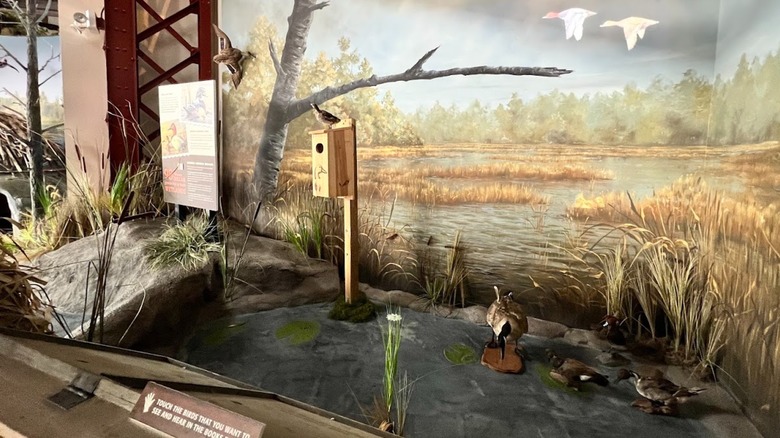 The interior of Outdoor Adventure Center exhibiting a lake and wildlife