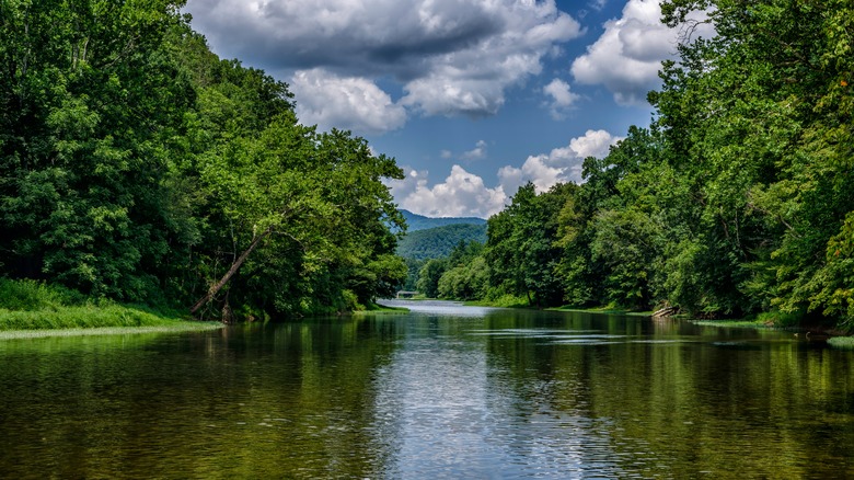 River in Watoga State Park