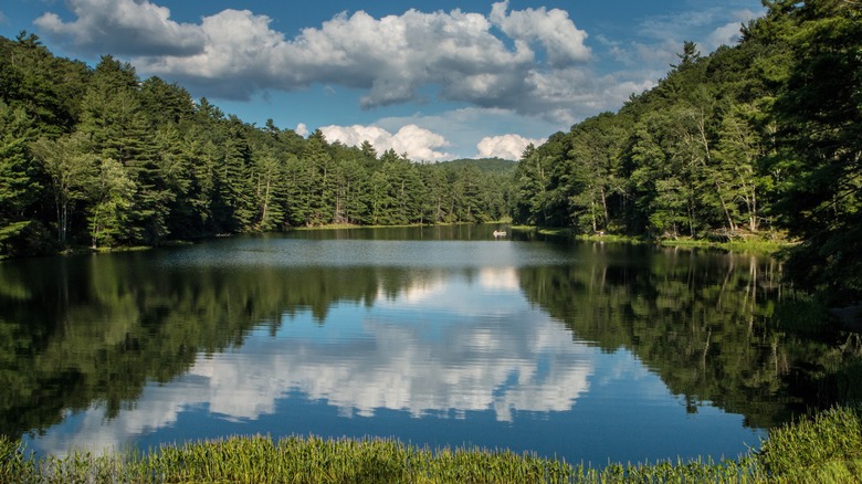 View of Lake Watoga